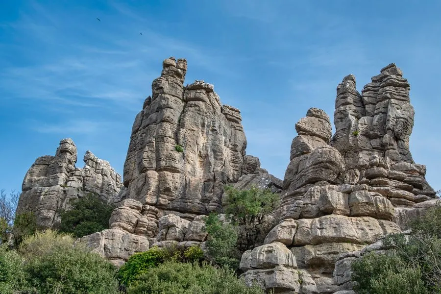 Narrow limestone pinnacles of the Grand Tsingy de Bemaraha