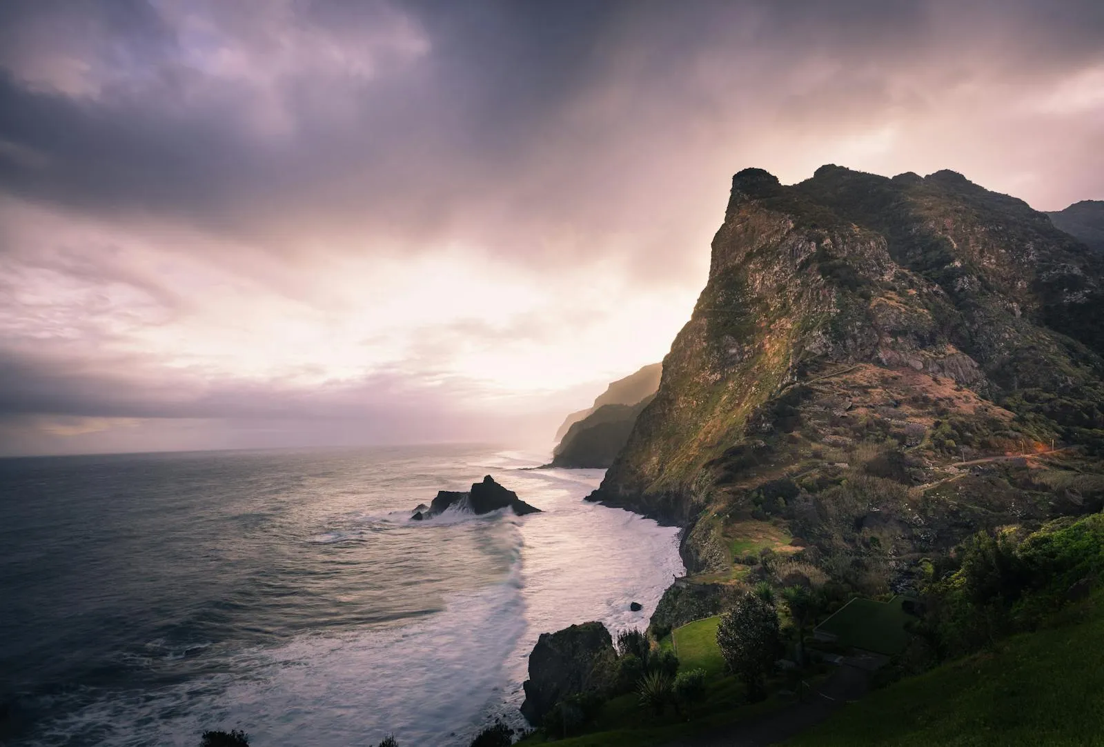 Madeira coastline bathed in golden afternoon light with subtropical flowers in the foreground