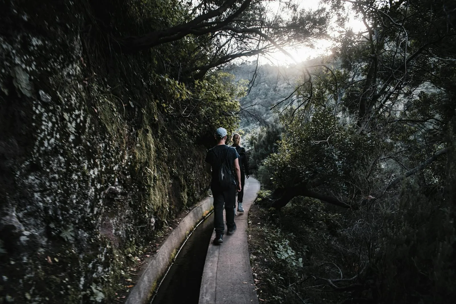 Narrow levada channel winding through dense Laurissilva forest with ferns and moss