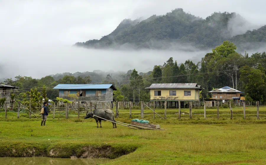 Kelabit Highlands Bario