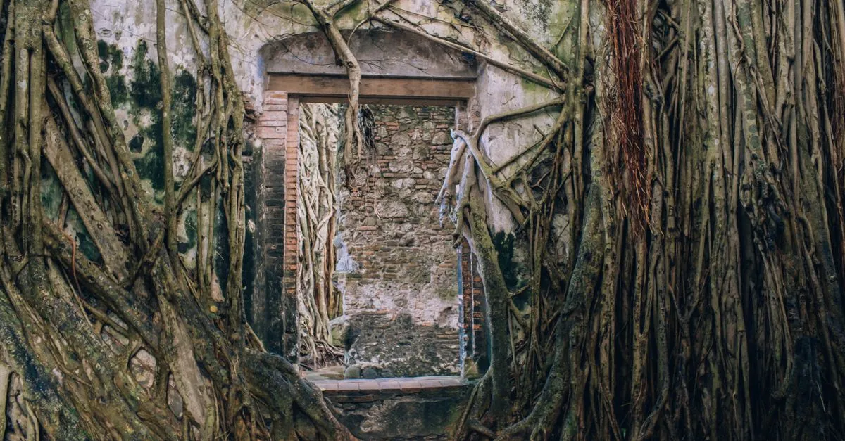 Xilitla Las Pozas surreal garden