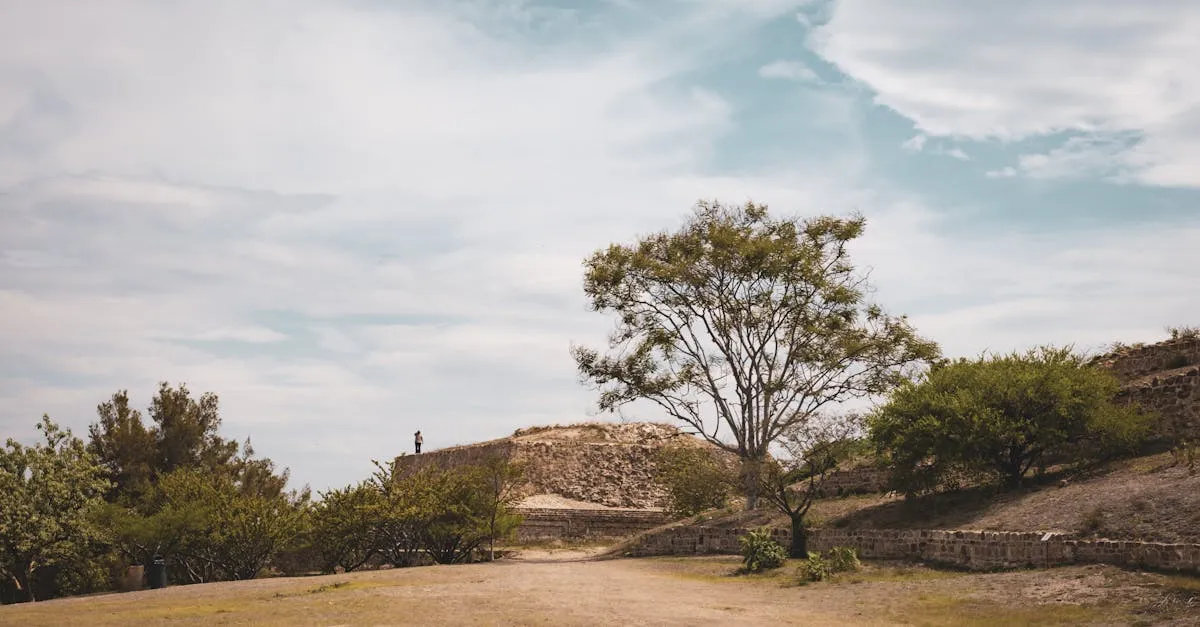 Monte Albán archaeological site