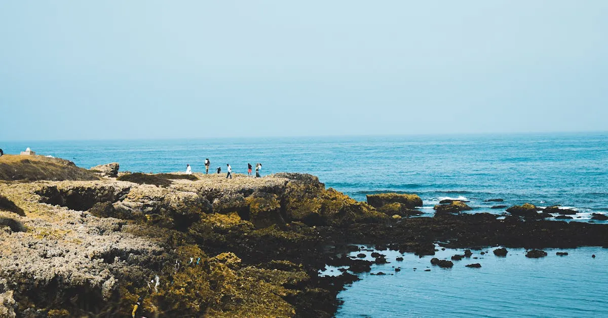 Oualidia lagoon coast