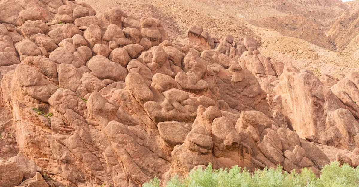 Rose Valley flowers in Dades