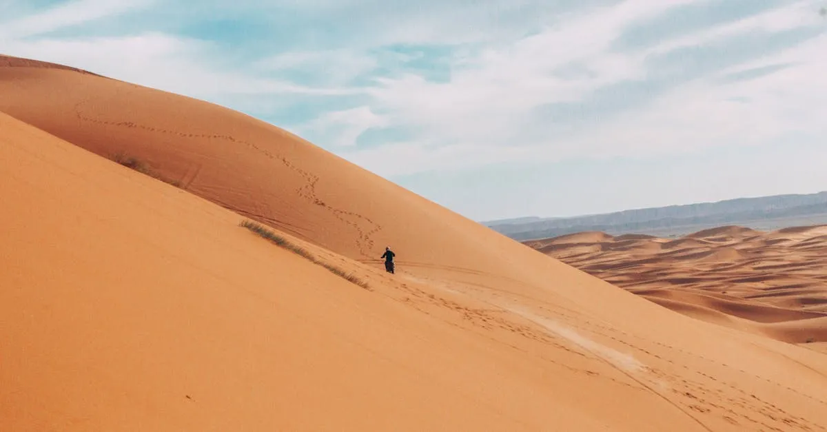 Sahara sand dunes at Erg Chebbi