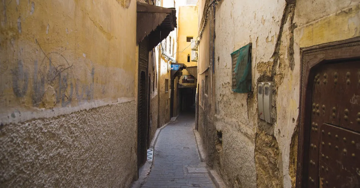 Ancient alley in Fez medina
