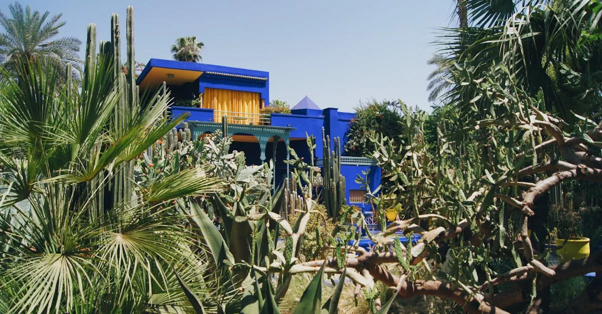 Majorelle Garden blue villa