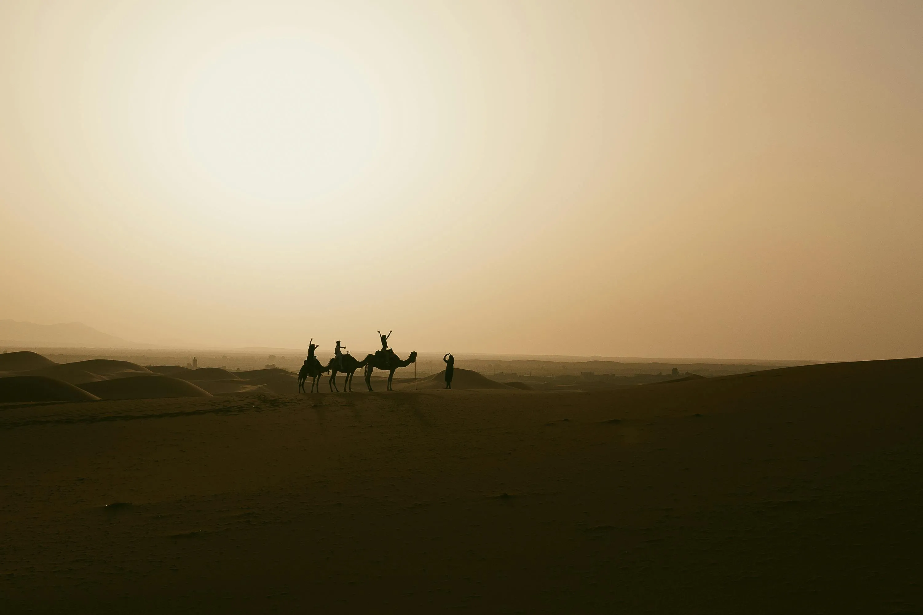 Camel caravan silhouette at sunset in the Sahara Desert near Merzouga