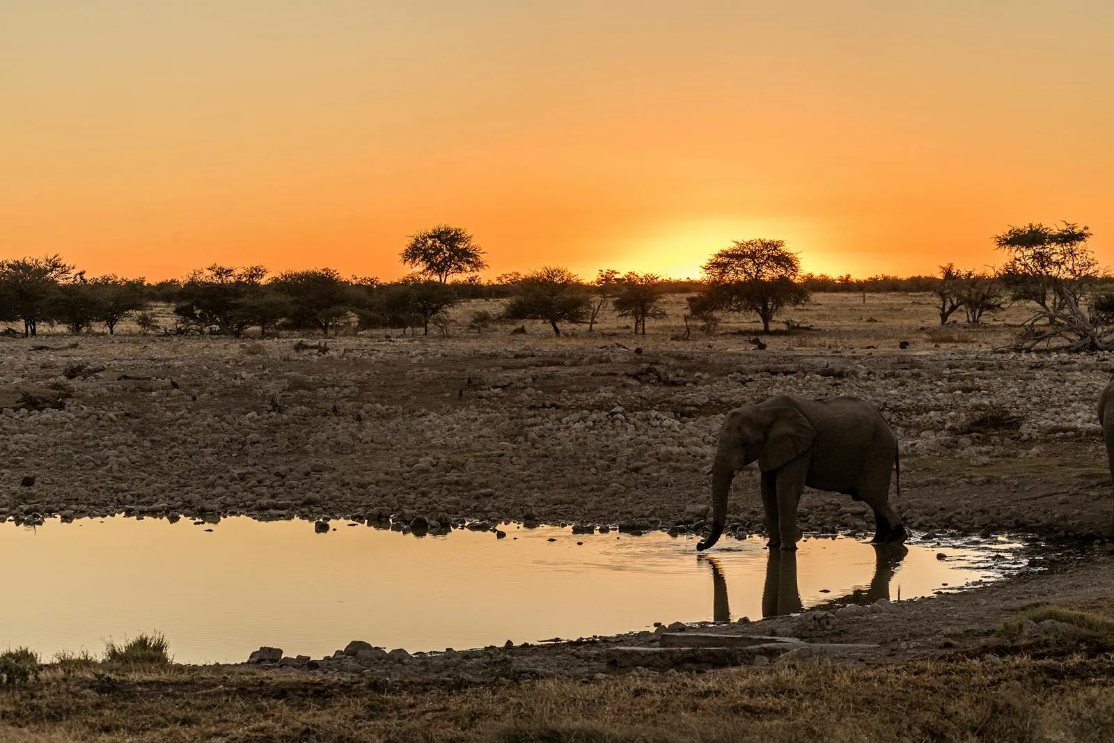 Etosha & the North landscape