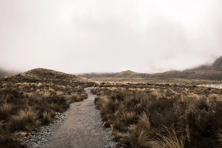 Tongariro Alpine Crossing Emerald Lakes