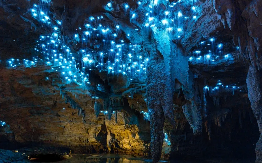 Waitomo Glowworm Caves boat ride