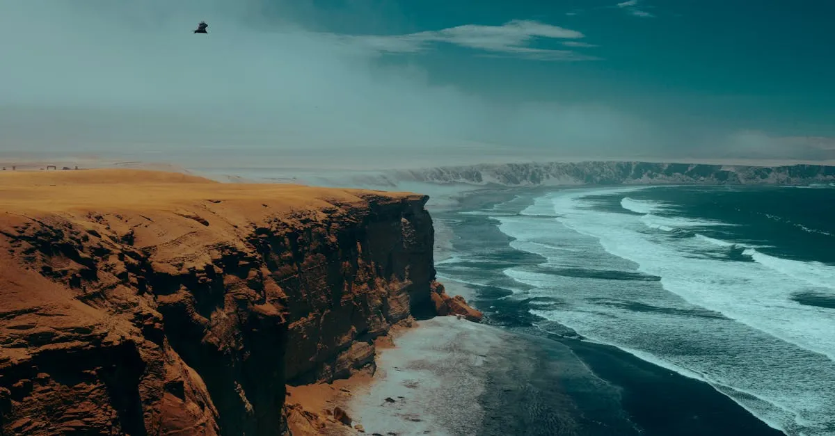 Paracas National Reserve
