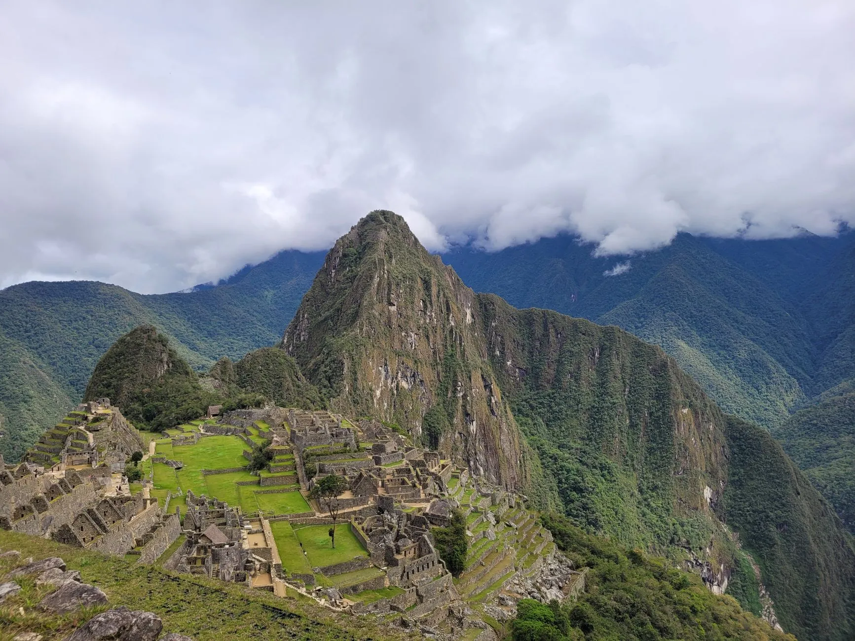 Andes & Amazon