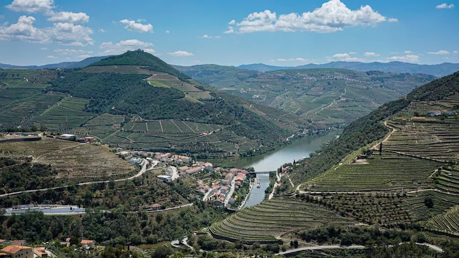 Terraced vineyards cascading down hillsides to the Douro River