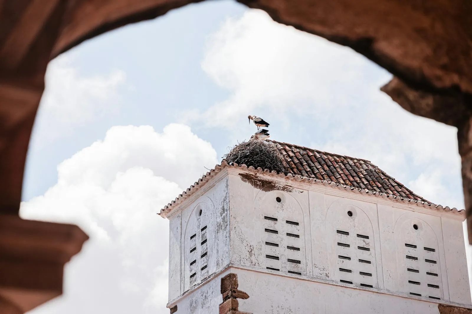 White stork nesting on a rooftop in the Algarve framed through a stone arch