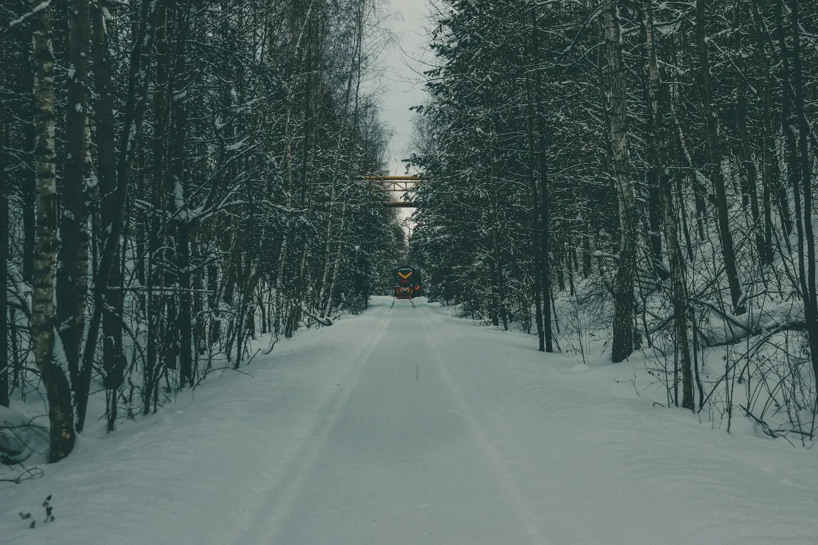 Trans-Siberian train crossing a vast Siberian landscape with forests and river