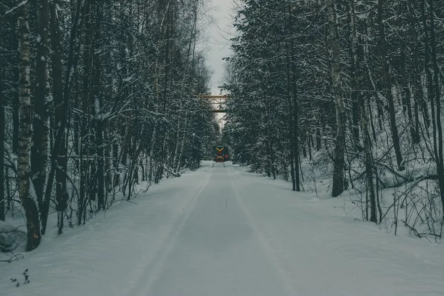 Trans-Siberian railway train crossing a bridge over a river with forests