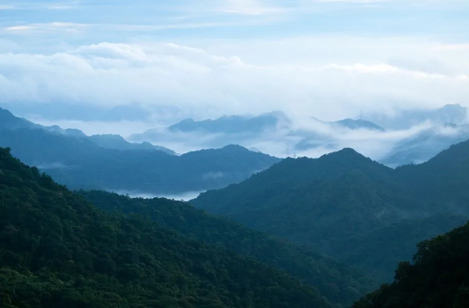 Green terraced hillsides in the Asir highlands near Abha