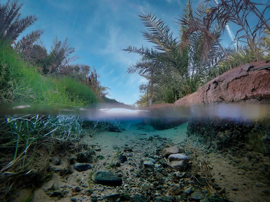 Al-Ahsa oasis with dense date palm groves