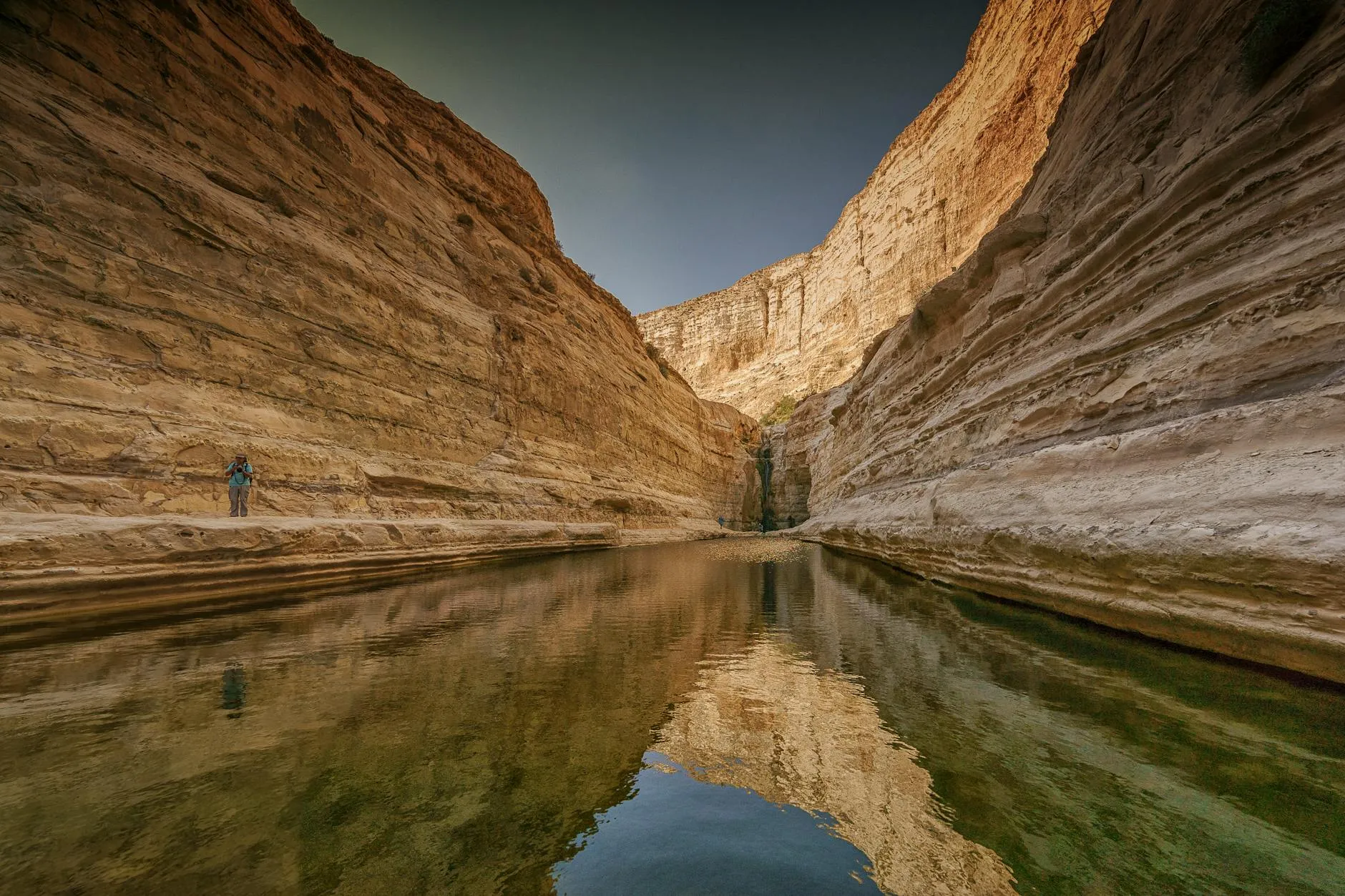 Wadi Disah canyon with towering sandstone walls and green palm floor