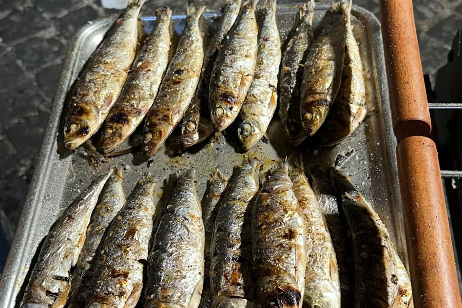 Grilled Portuguese sardines