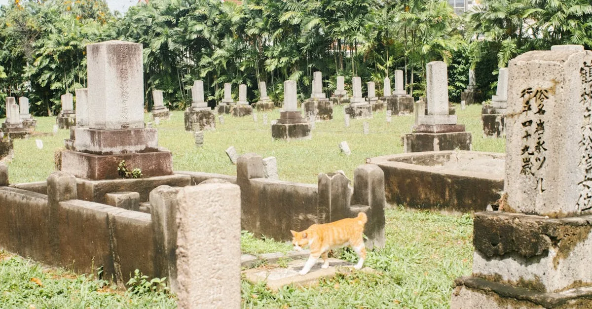 Bukit Brown Cemetery