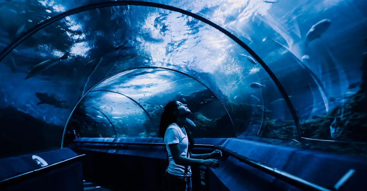 S.E.A. Aquarium