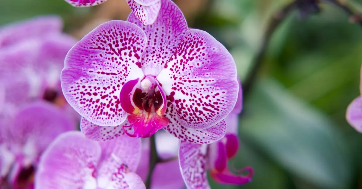 Singapore Botanic Gardens