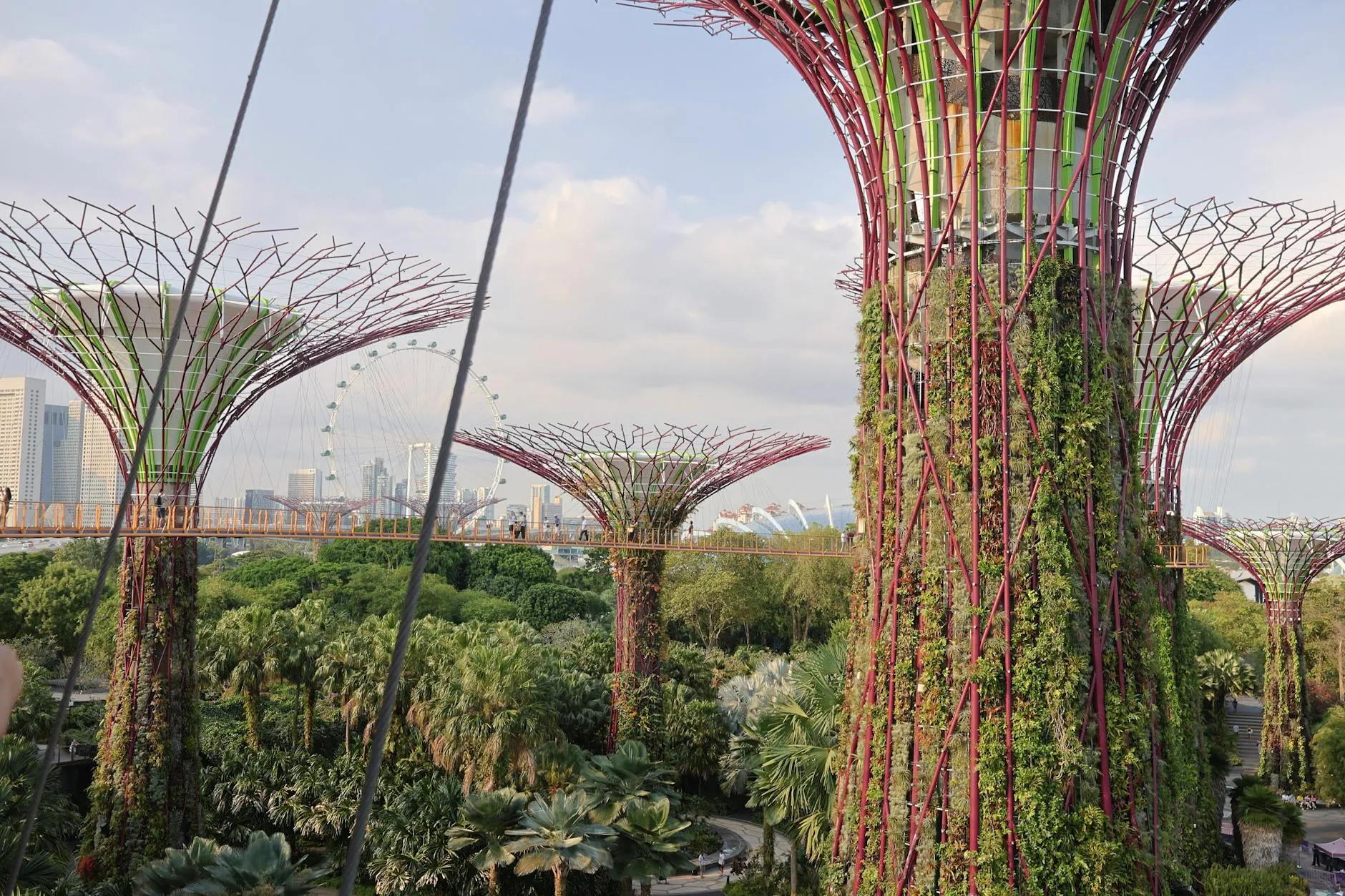Breathtaking view of Supertree Grove in Singapore's Gardens by the Bay with city skyline backdrop.