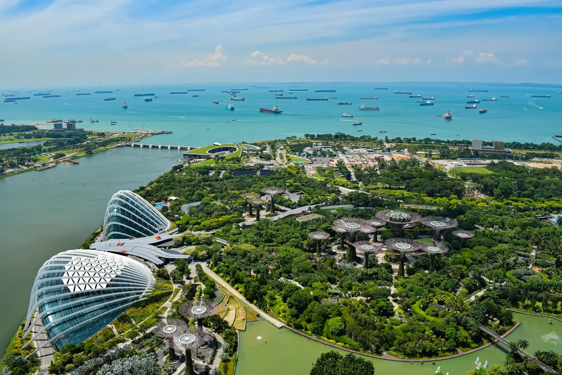 Stunning aerial view of Singapore's Gardens by the Bay with ships in the background.