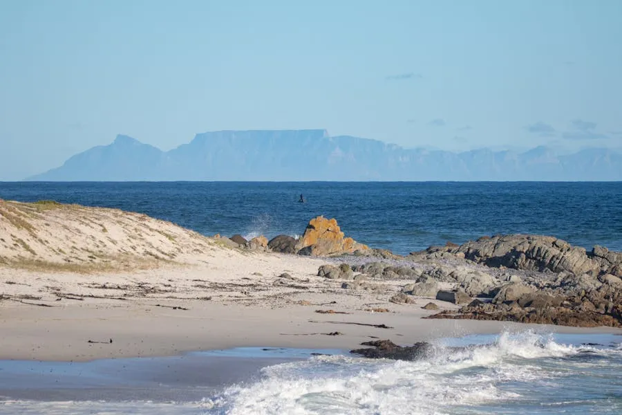 Table Mountain viewed from Bloubergstrand