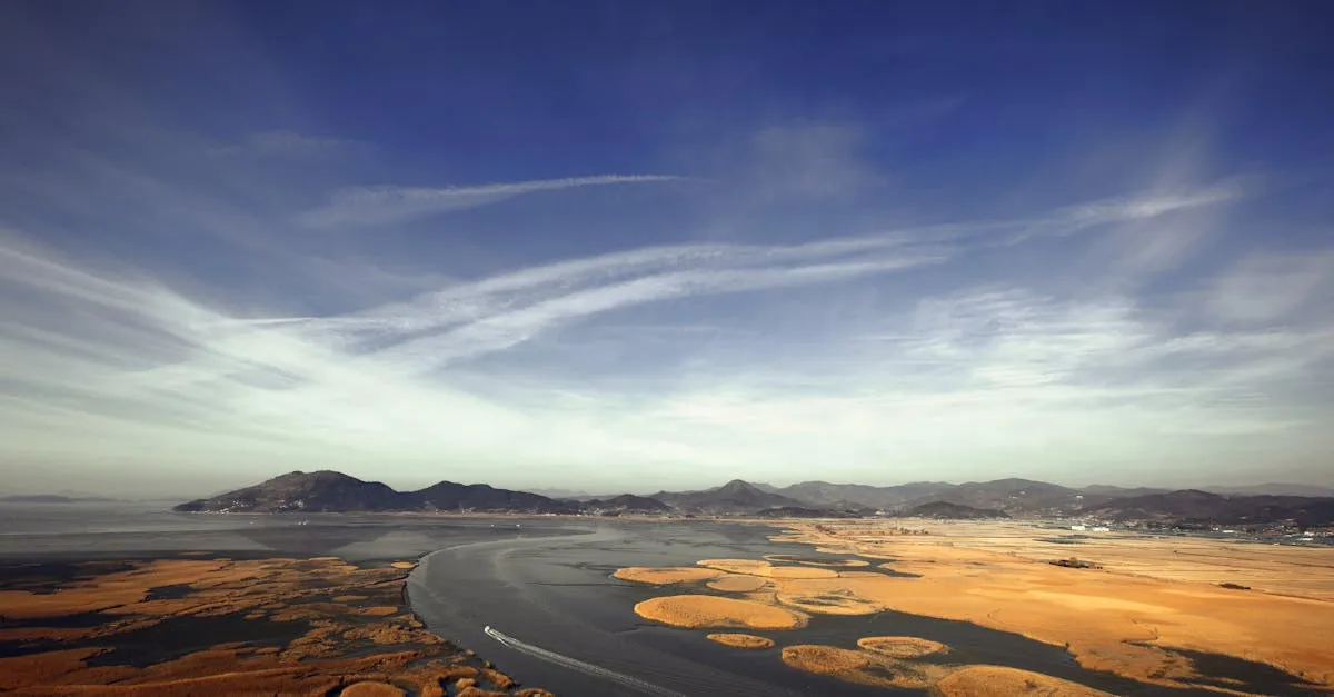Suncheon Bay wetland