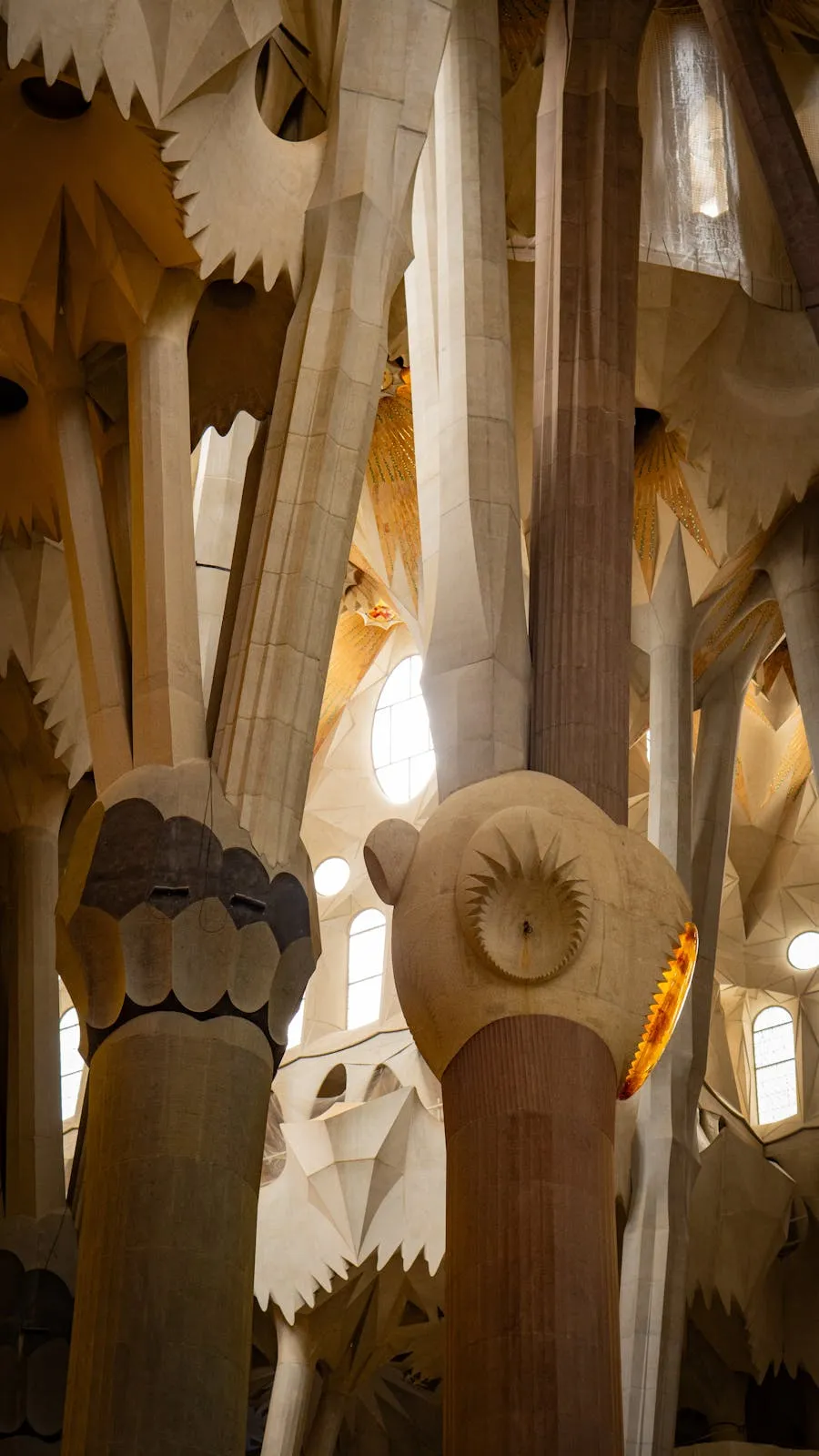 Soaring interior columns of the Sagrada Familia bathed in coloured light