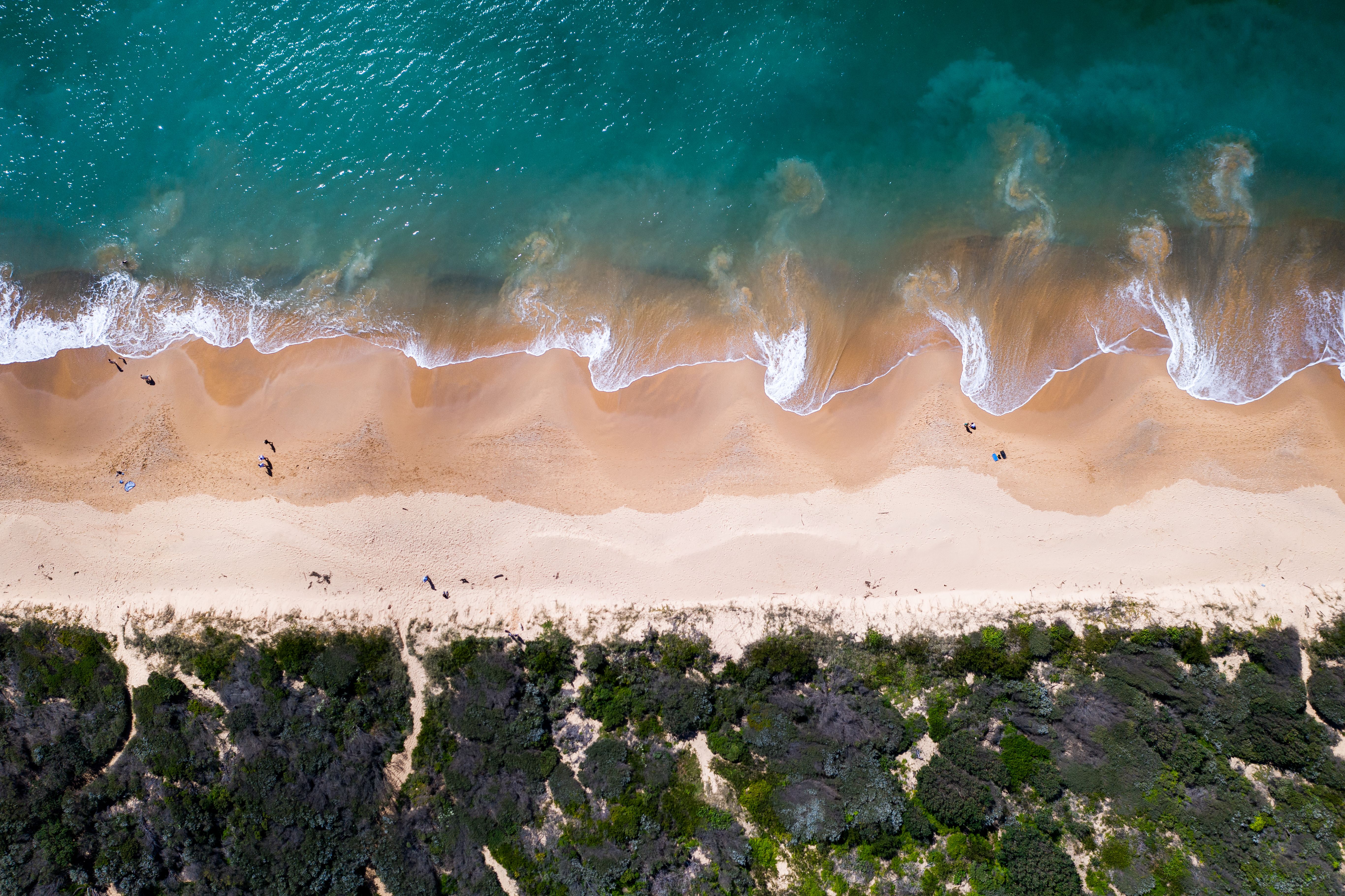 Noosa Queensland surf beach