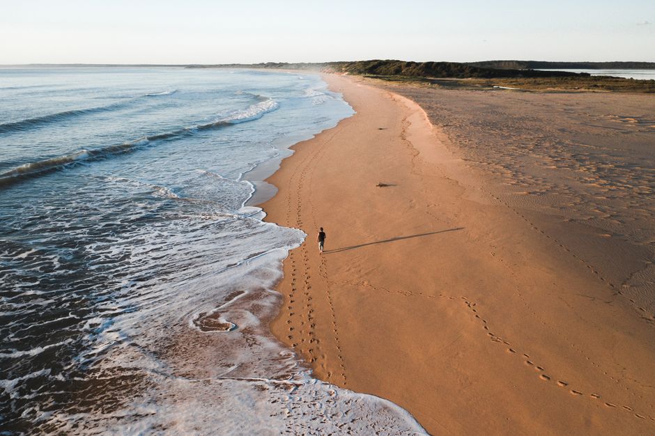 Shark Island NSW surf coast