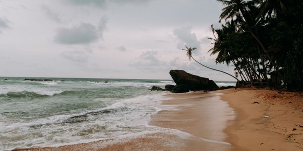 Surfer riding a wave in tropical waters