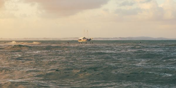 A surfer skillfully rides a large wave at Haleiwa Beach, Hawaii