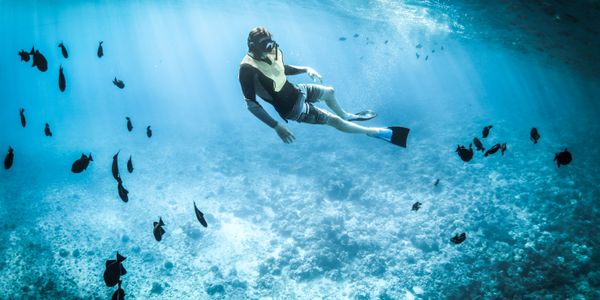 Left-hand reef break at Uluwatu, Bali