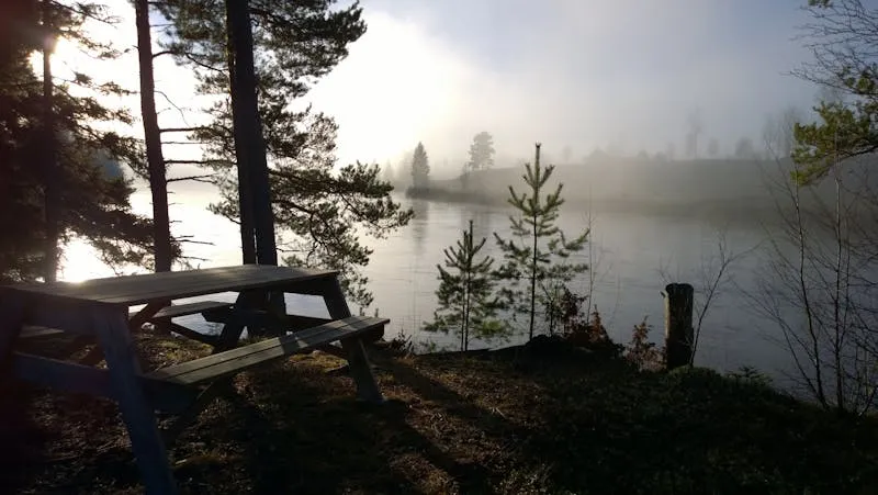 Red wooden cottages on the shore of a lake surrounded by forest in Dalarna