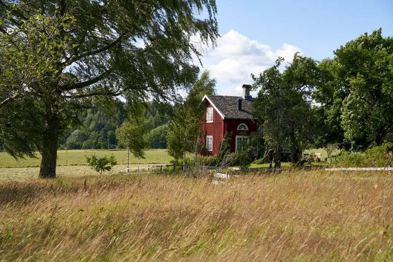 Rolling green fields and a red farmhouse in the Swedish countryside