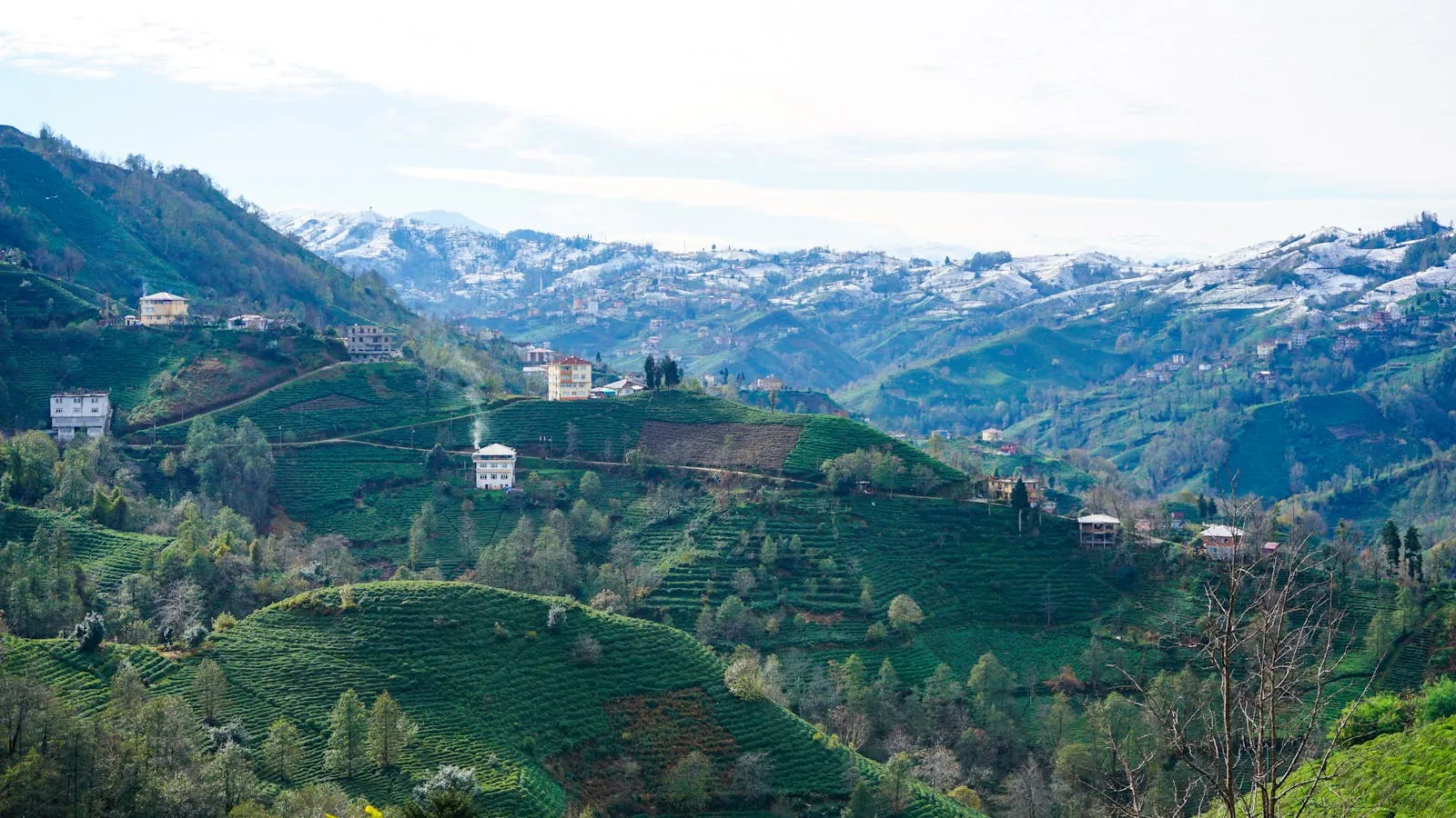 Green mountains along the Black Sea coast