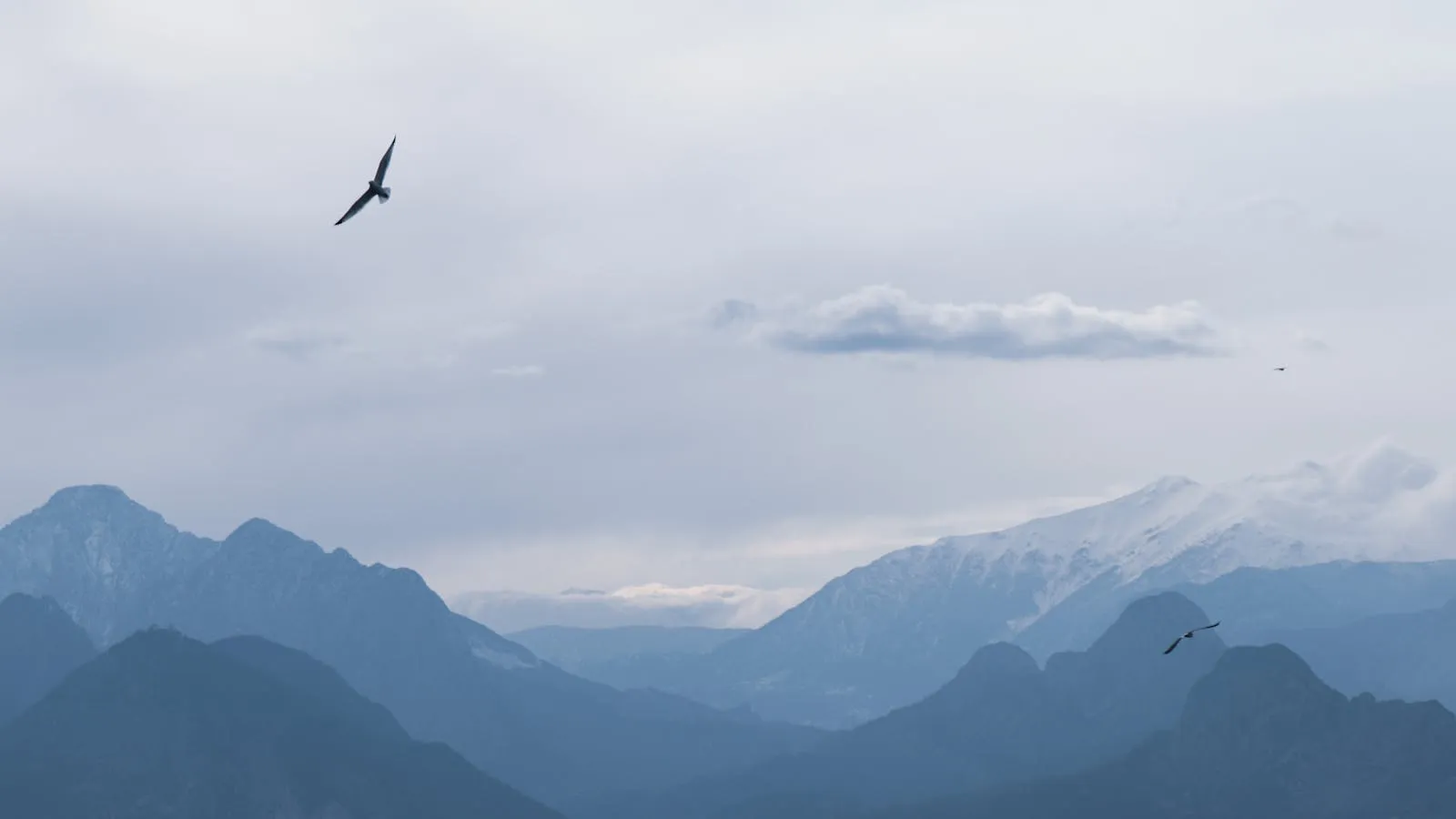 Turkey's diverse natural landscapes and wildlife
