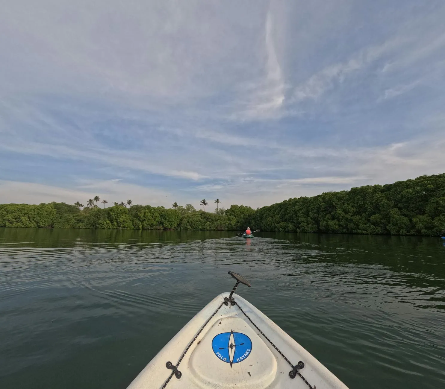 Mangrove kayaking in calm waters at sunset