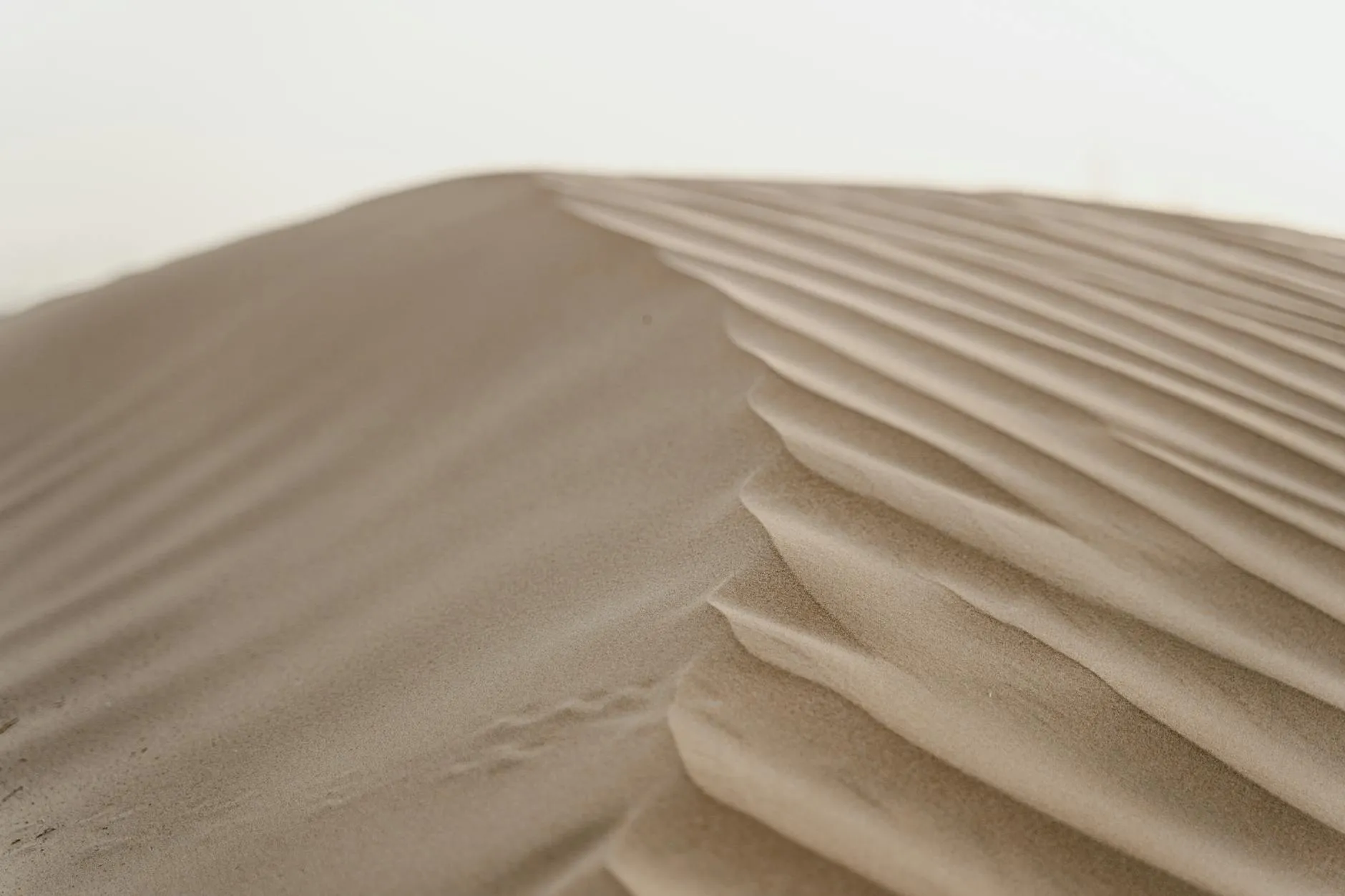 Red sand dunes in Dubai desert at golden hour with 4x4 tracks