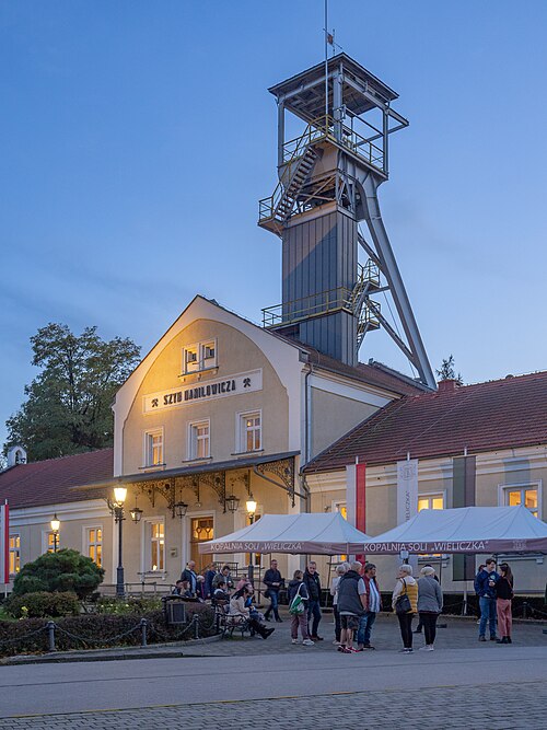 Wieliczka and Bochnia Royal Salt Mines