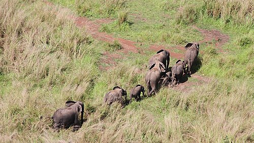 Garamba National Park
