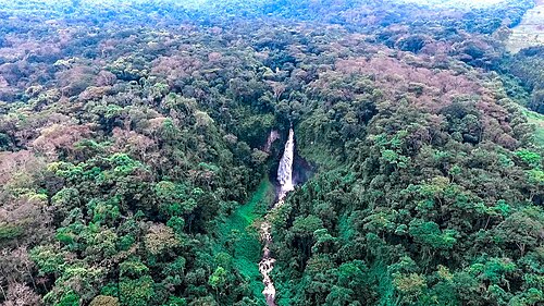 Kahuzi-Biega National Park