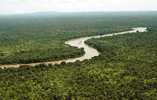 Niokolo-Koba National Park