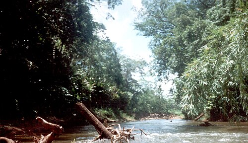Río Plátano Biosphere Reserve