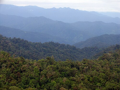 Talamanca Range-La Amistad Reserves / La Amistad National Park